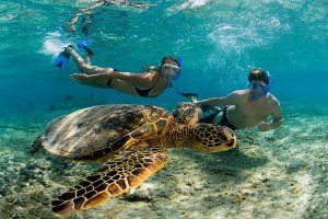 Nusa Lembongan Snorkeling Trip From Bali 2D1N nusa lembongan trip nusa lembongan trip,snorkeling trip,manta trip,turtle trip Java Adventure Seekers