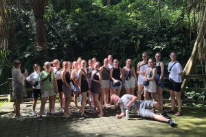 Wild Dolphin Lovina,Ubud Trip From Banyuwangi 3D3N dolphin trip lovina,ubud trip dolphin trip lovina,ubud trip,monkey forest ubud Java Adventure Seekers